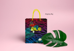 Shopping-Bag-ALE-01